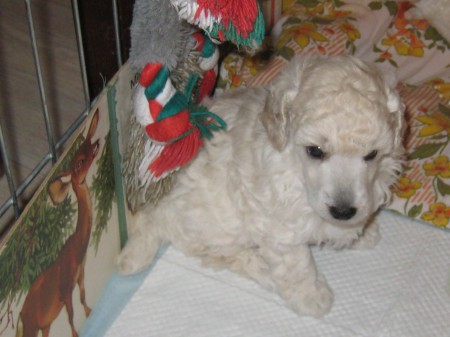 31. den: Mám jeden měsíc...